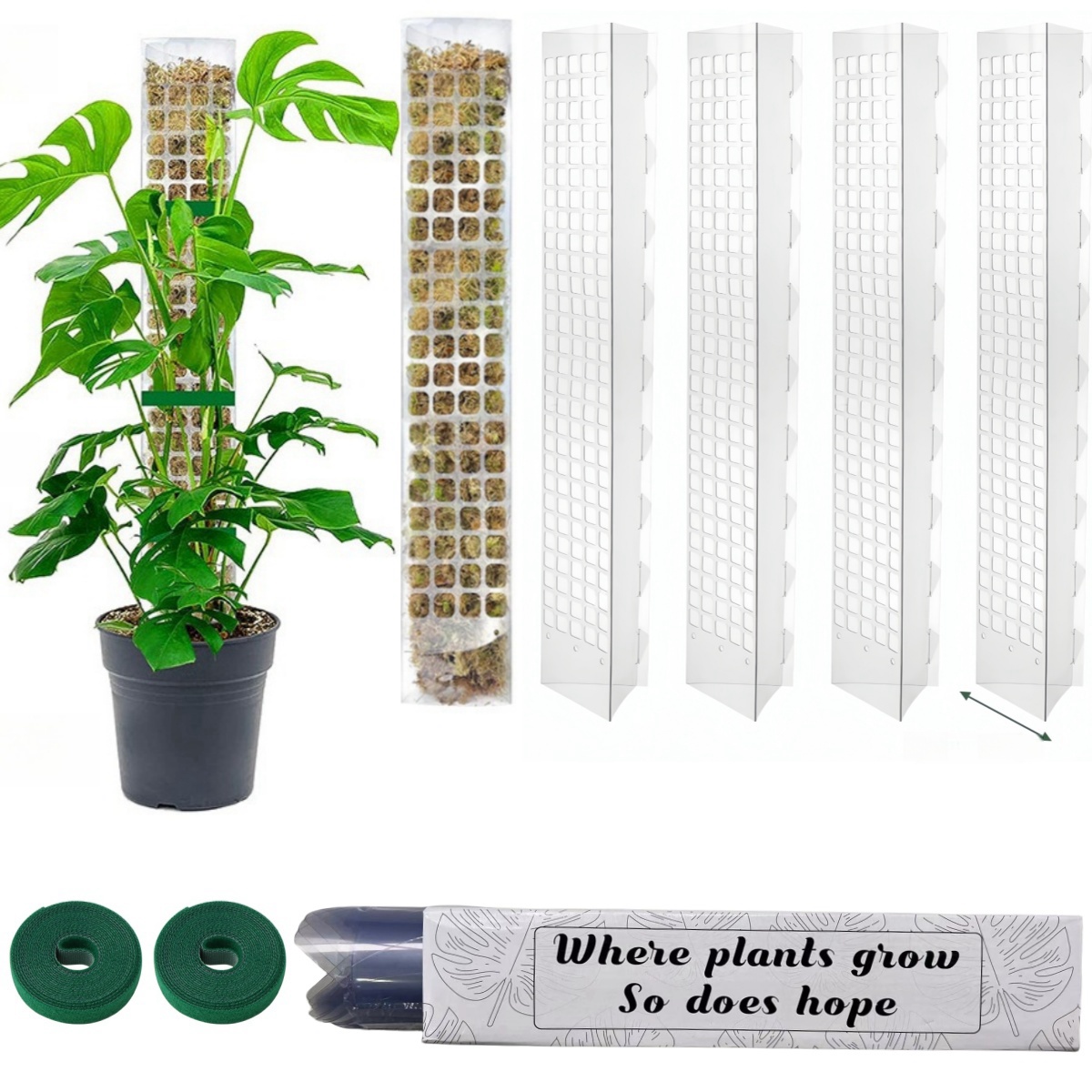 Columna de musgo de agua para  - Sphagnum Moss Dry reseña y precio