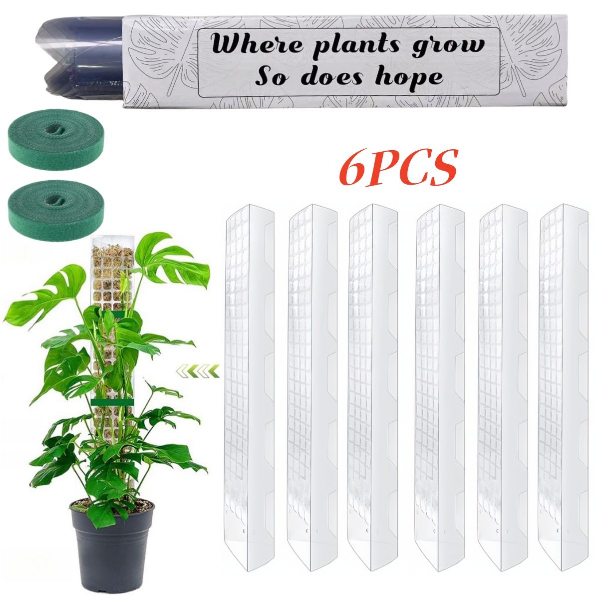 Soporte de Plástico para Plant - Sphagnum Moss Dry reseña y precio