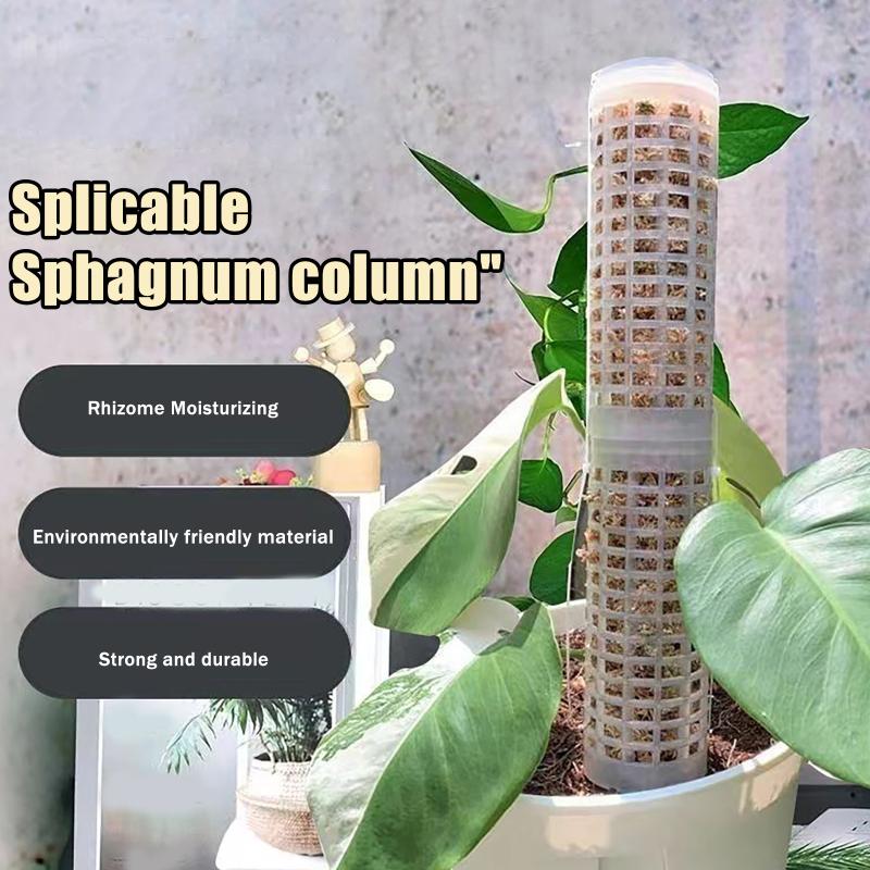 6 Soportes de Plástico para Pl - Sphagnum Moss Dry reseña y precio