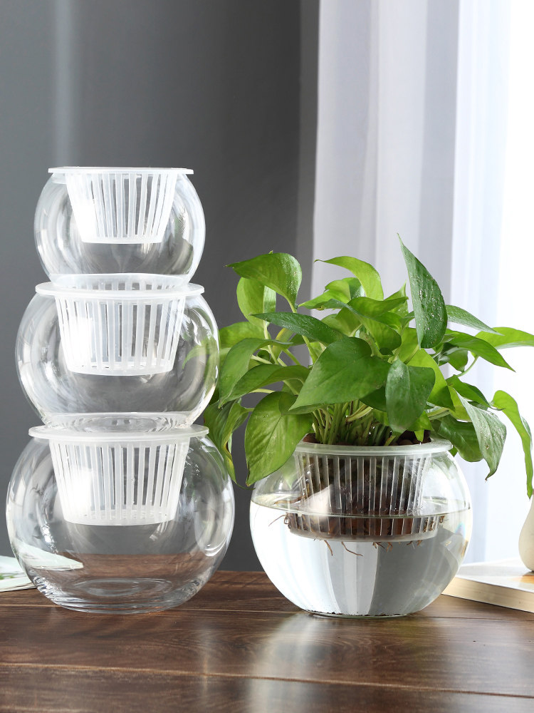 Jarrón de Vidrio Hidropónico,  - Propagation Station Vase reseña y precio