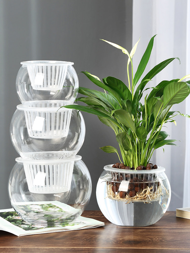 Jarrón de Vidrio Hidropónico,  - Propagation Station Vase reseña y precio