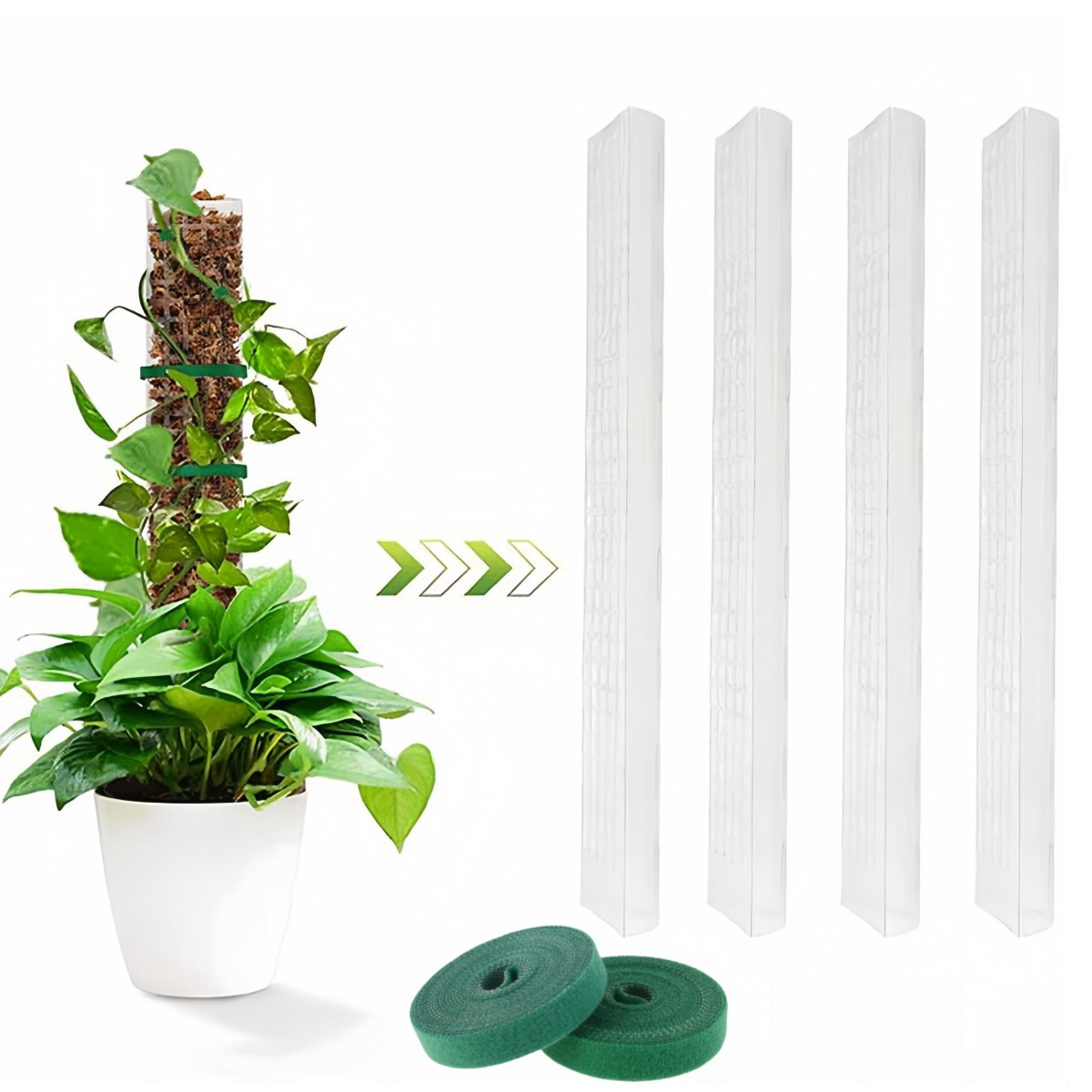Soporte de plástico para plant - Sphagnum Moss Dry reseña y precio