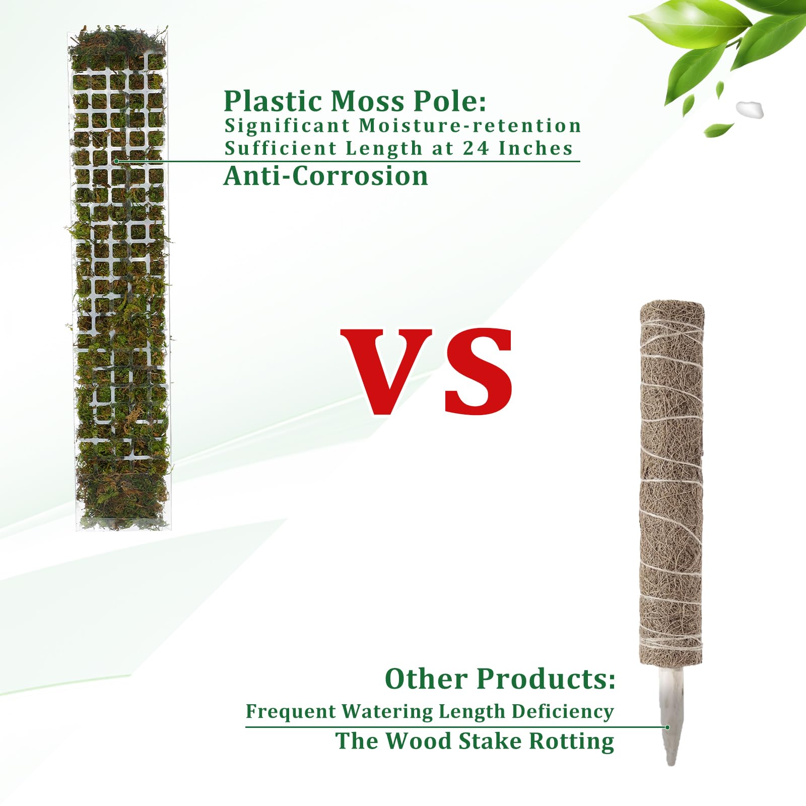 Soporte de plástico para plant - Sphagnum Moss Dry reseña y precio
